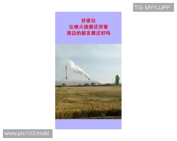 那些偷偷厉害的家伙（三十一）